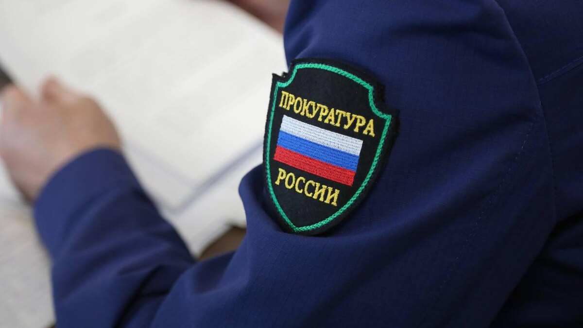    Фото: t.me/procspb