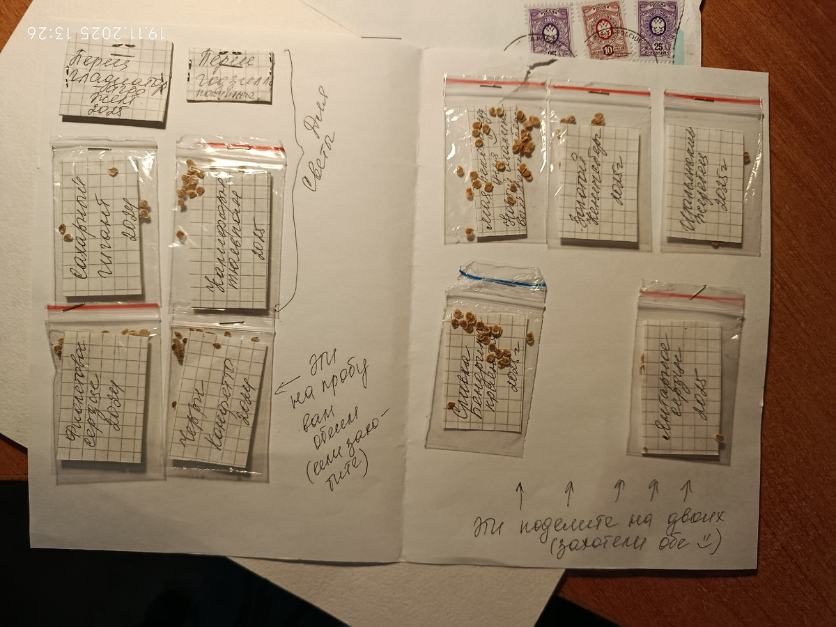 Семена от Натальи Щербаковой. Для меня и для соседки Светланы Поляковой. В одном конверте, заодно