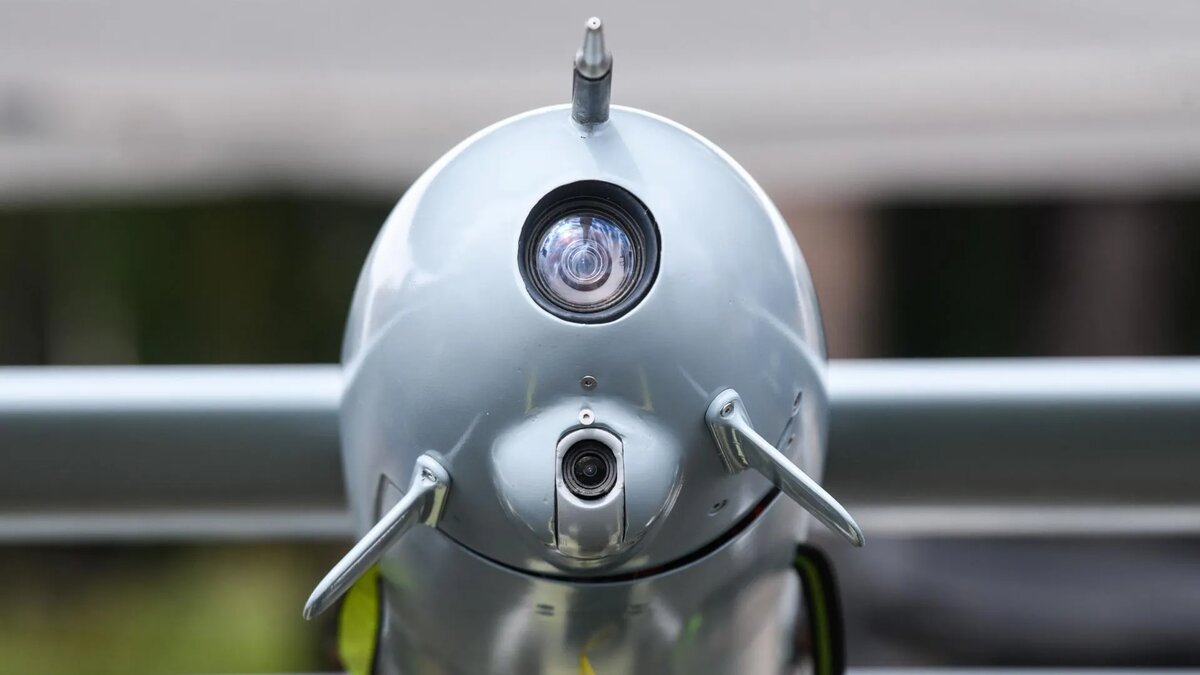 Фото: Ilya Moskovets/URA.RU/www.globallookpress.com