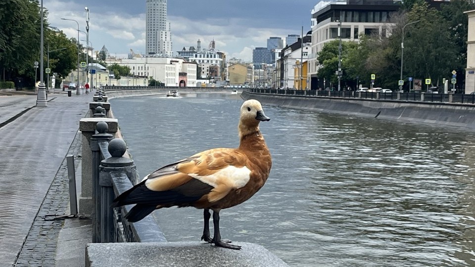 За что ты реально платишь, когда покупаешь курсы по подготовке к ЕГЭ?