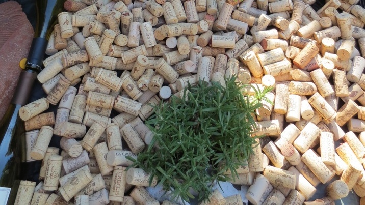 Собираю винные пробки 3 года подряд. За 15 минут решил проблему кротов