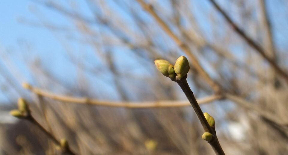    Медиасток.рф