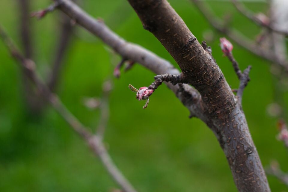    Медиасток.рф