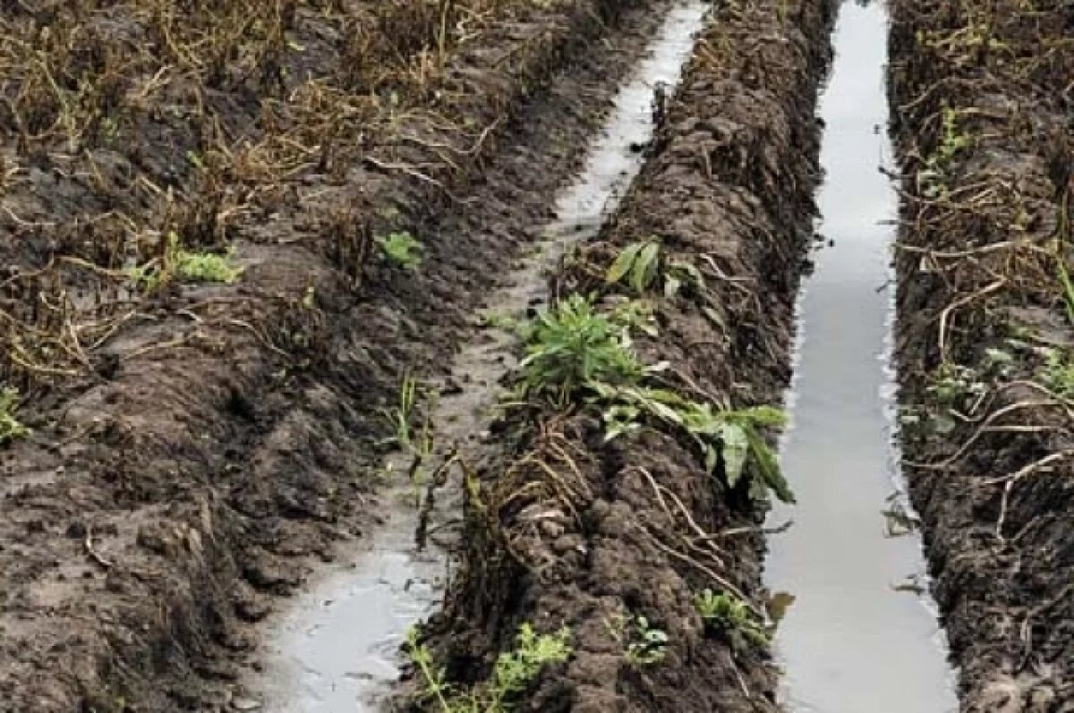    Бастрыкин поручил провести расследование по дороге в Новосергиевском районе