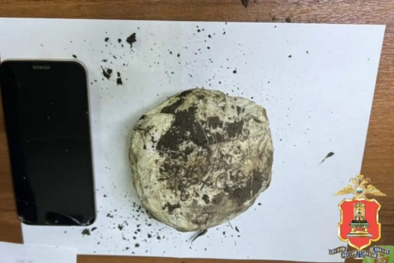    CREATOR: gd-jpeg v1.0 (using IJG JPEG v62), quality = 100