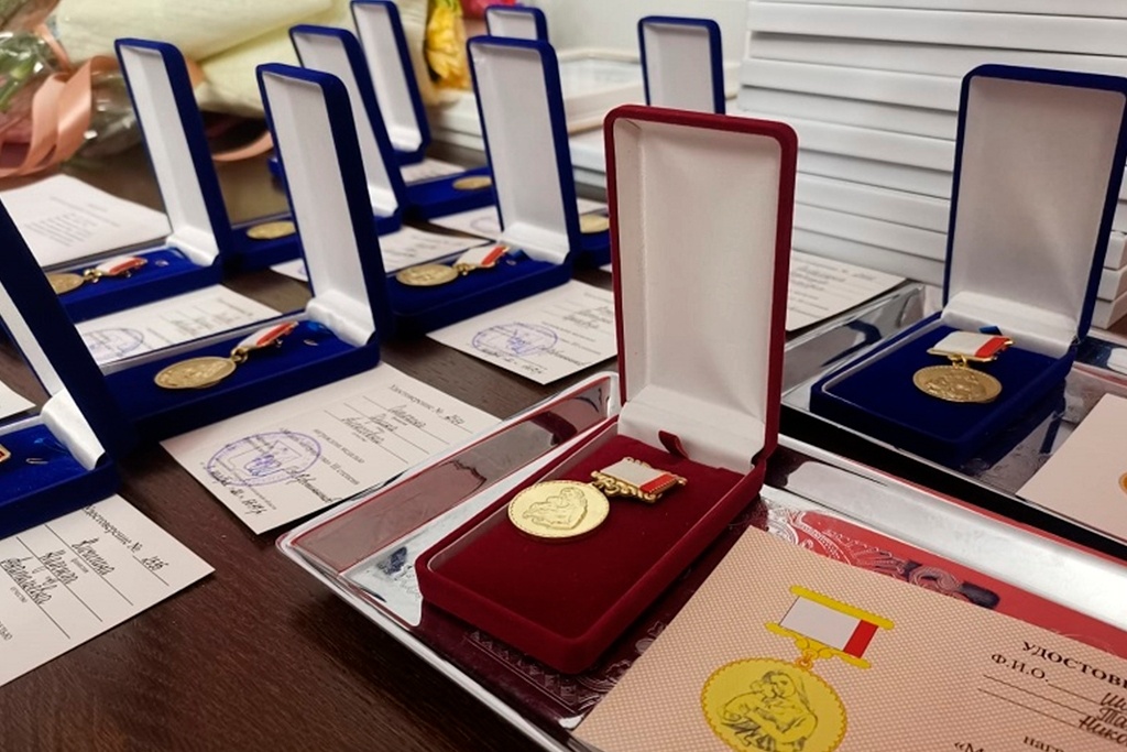    Региональная госнаграда вручается женщинам, родившим и воспитавшим пять и более детей.