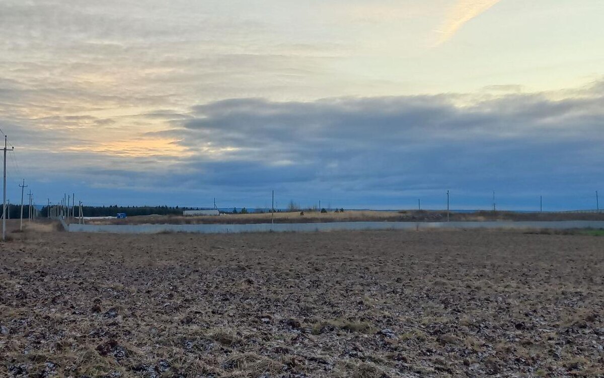    Почти 8 га незаконно переданной земли вернули в муниципальную собственность в Удмуртии