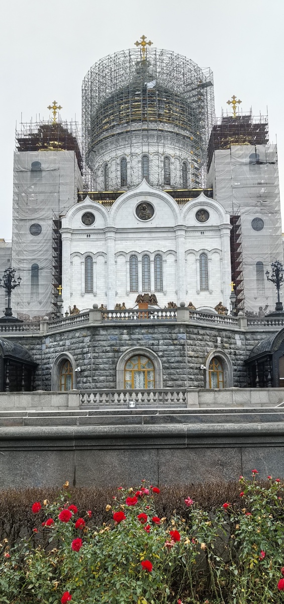 Цветут розы в конце ноября