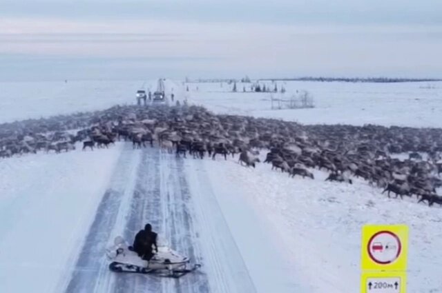    Фото: Telegram-канал «Мы из Приуралья»