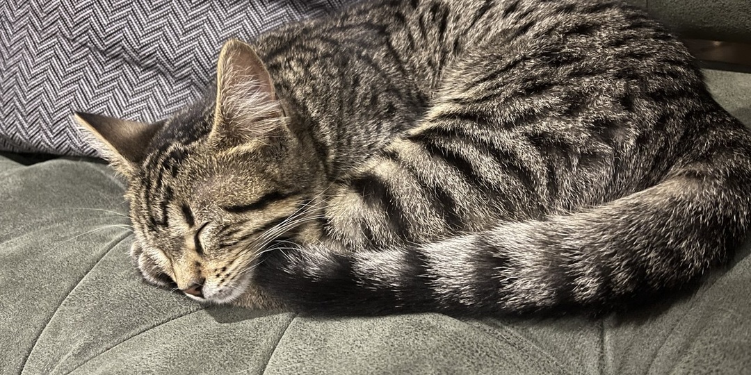 Как помочь ученику разобраться в учёбе?