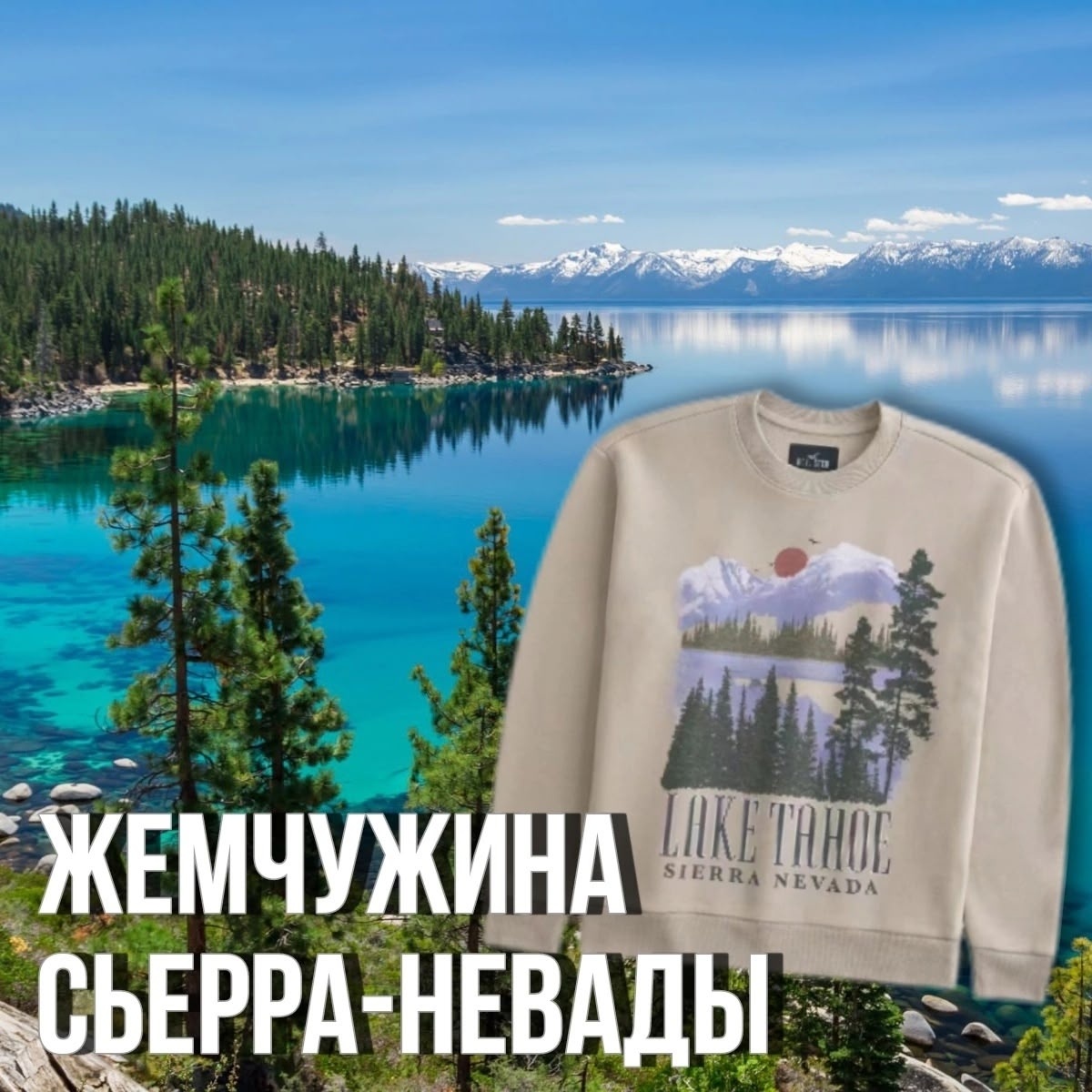 https://www.abercrombie.ru/catalog/man/svitshoty/muzhskoy-svitshot-s-printom-na-grudi-st52/49355/