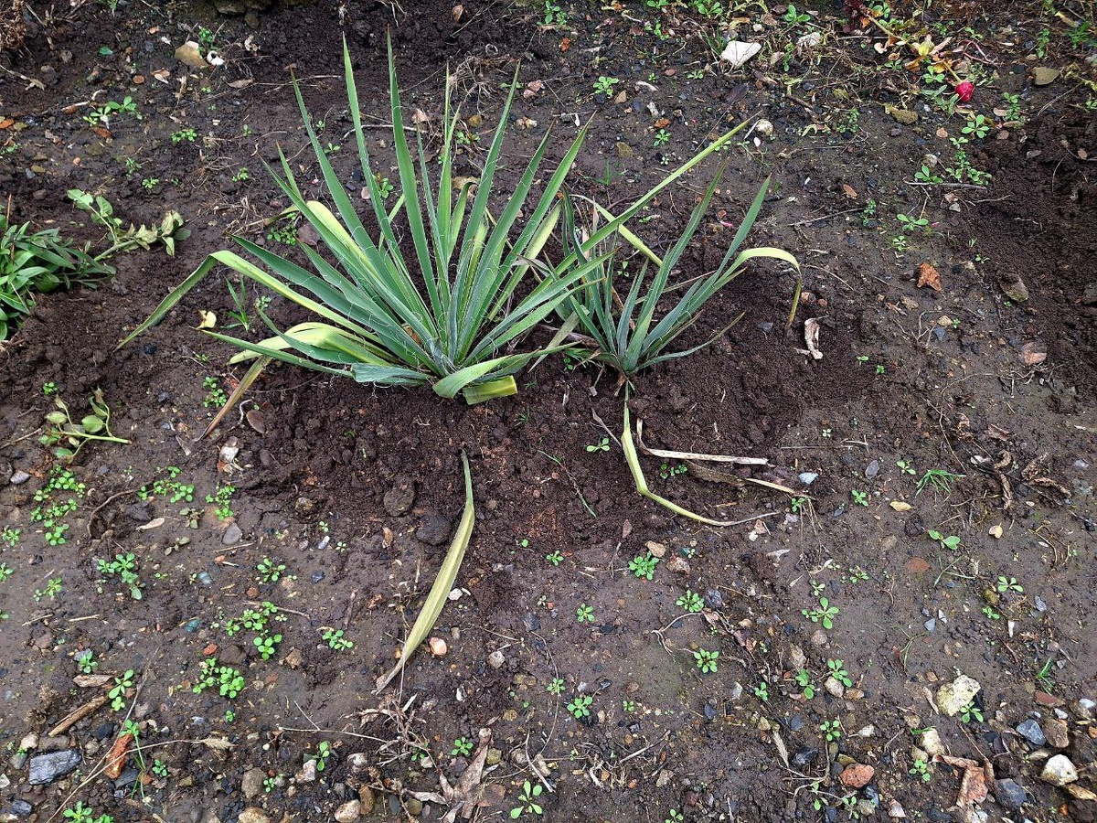 Фото автора.