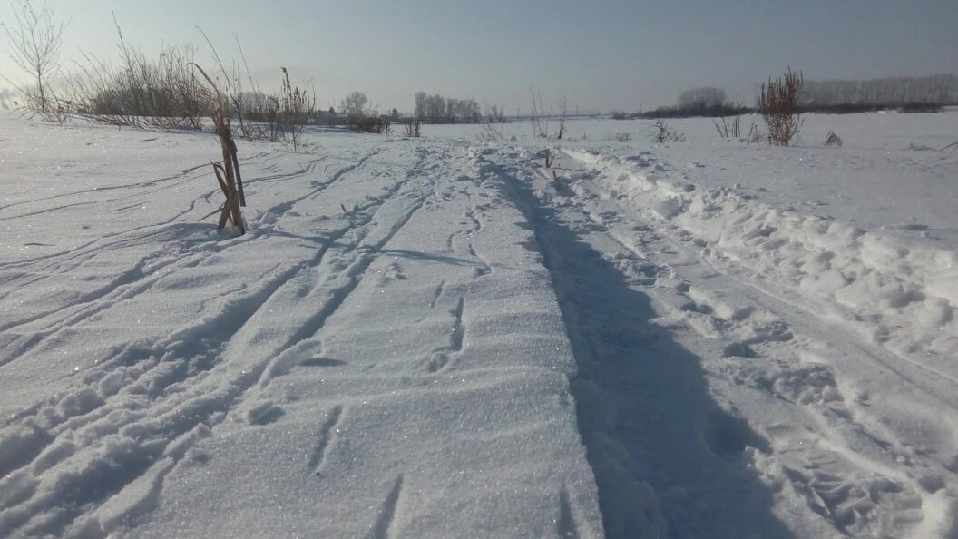    Фото: Царьград Новосибирск