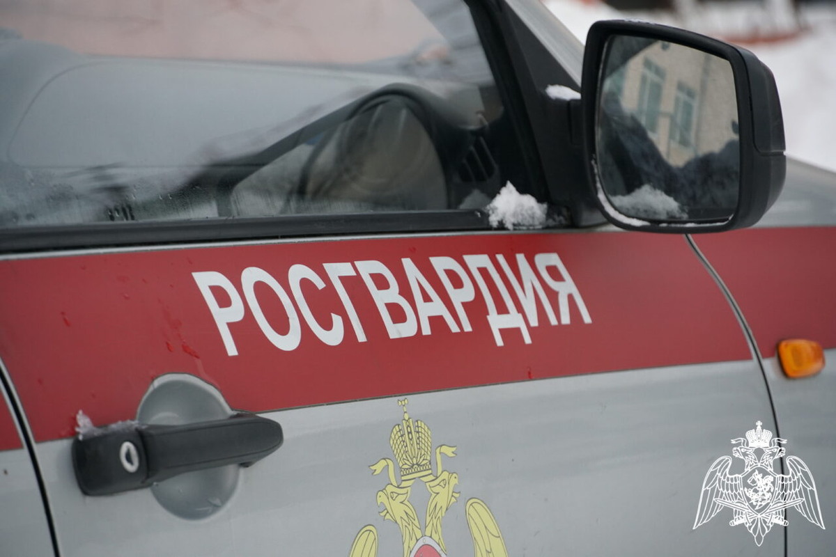    Фото: Росгвардия Карелии