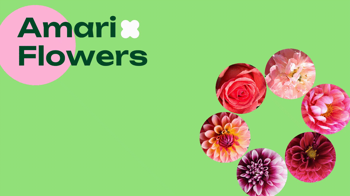 Что у нас получилось, когда мы собрали все слайды и настроили переходы «трансформация»