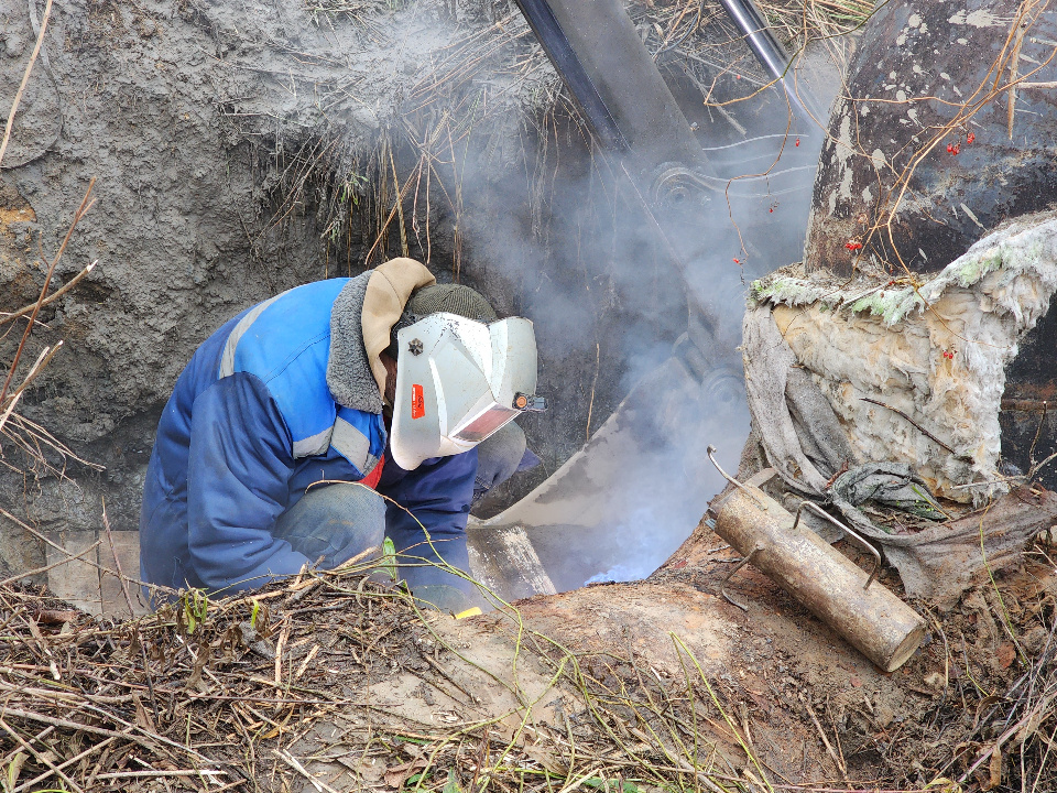    Фото: МедиаБанк Подмосковья/Ольга Аввакумова