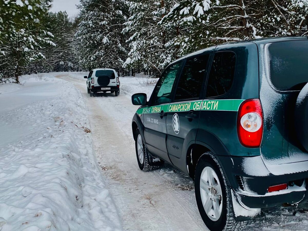    Фото Минприроды Самарской области