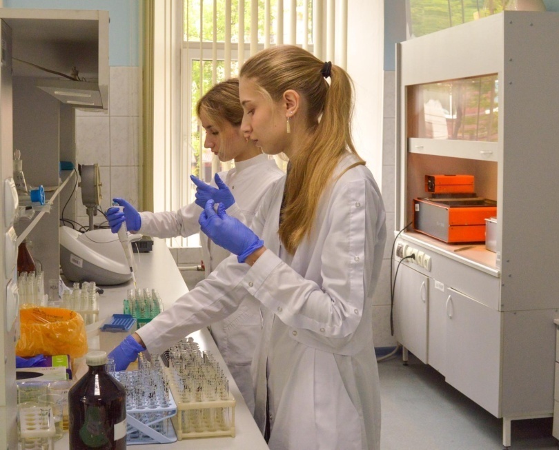 взято из просторов интернета. в свободном доступе.