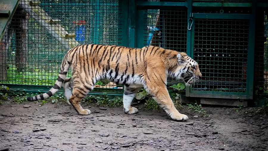    © АО "ТВ Центр"