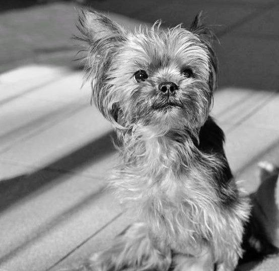 Прощай, Уля🕊️