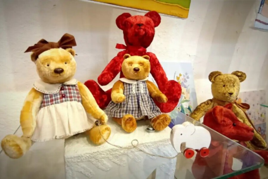    Фото: Мария Клапатнюк, источник: novvedomosti.ru