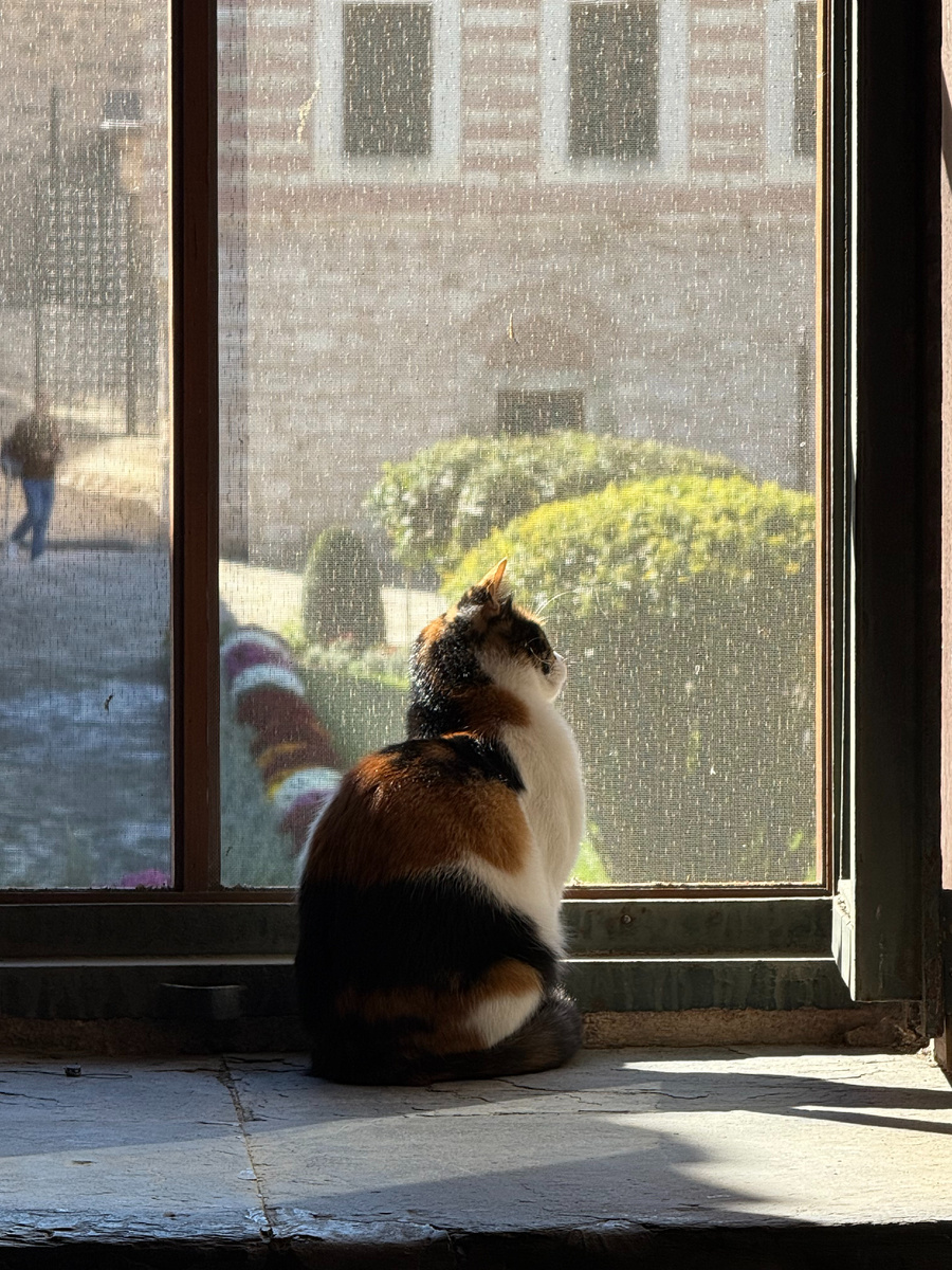 Работник дворца