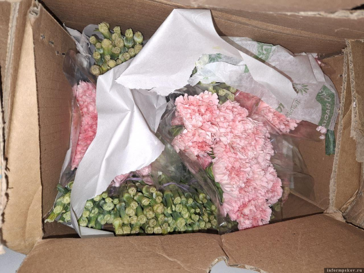 Фото: пресс-служба Северо-Западного межрегионального управления Россельхознадзора