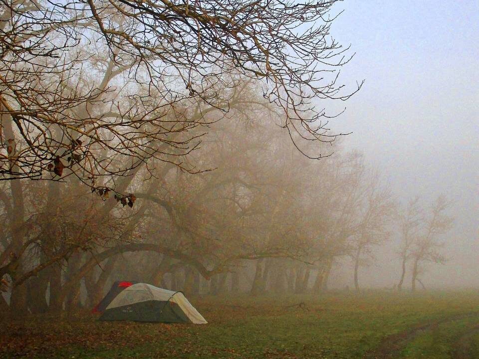    Фото: администрация Советского района