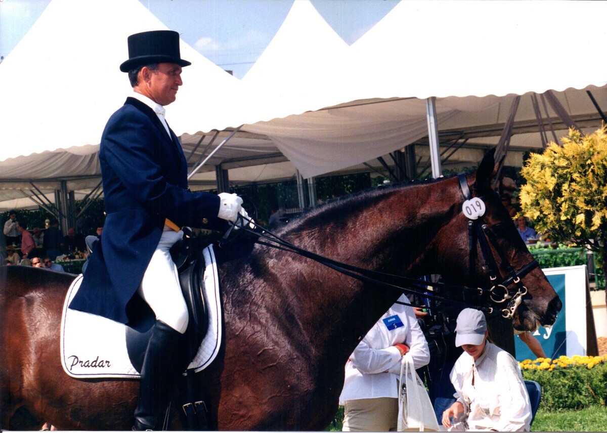    Фото: CDI 5* «Кубок Президента РФ по выездке». Правообладатель фото Вита Козлова