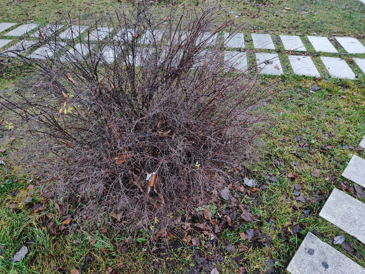 Фото автора.