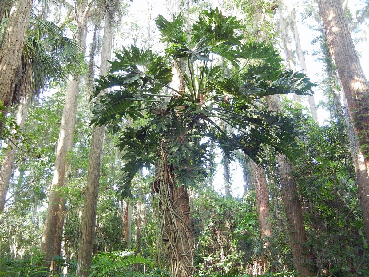 Фото https://adverdesign.ru