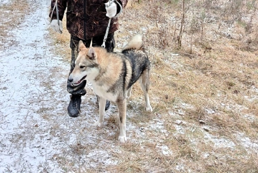 Ра-Дар В.Н.Викулова