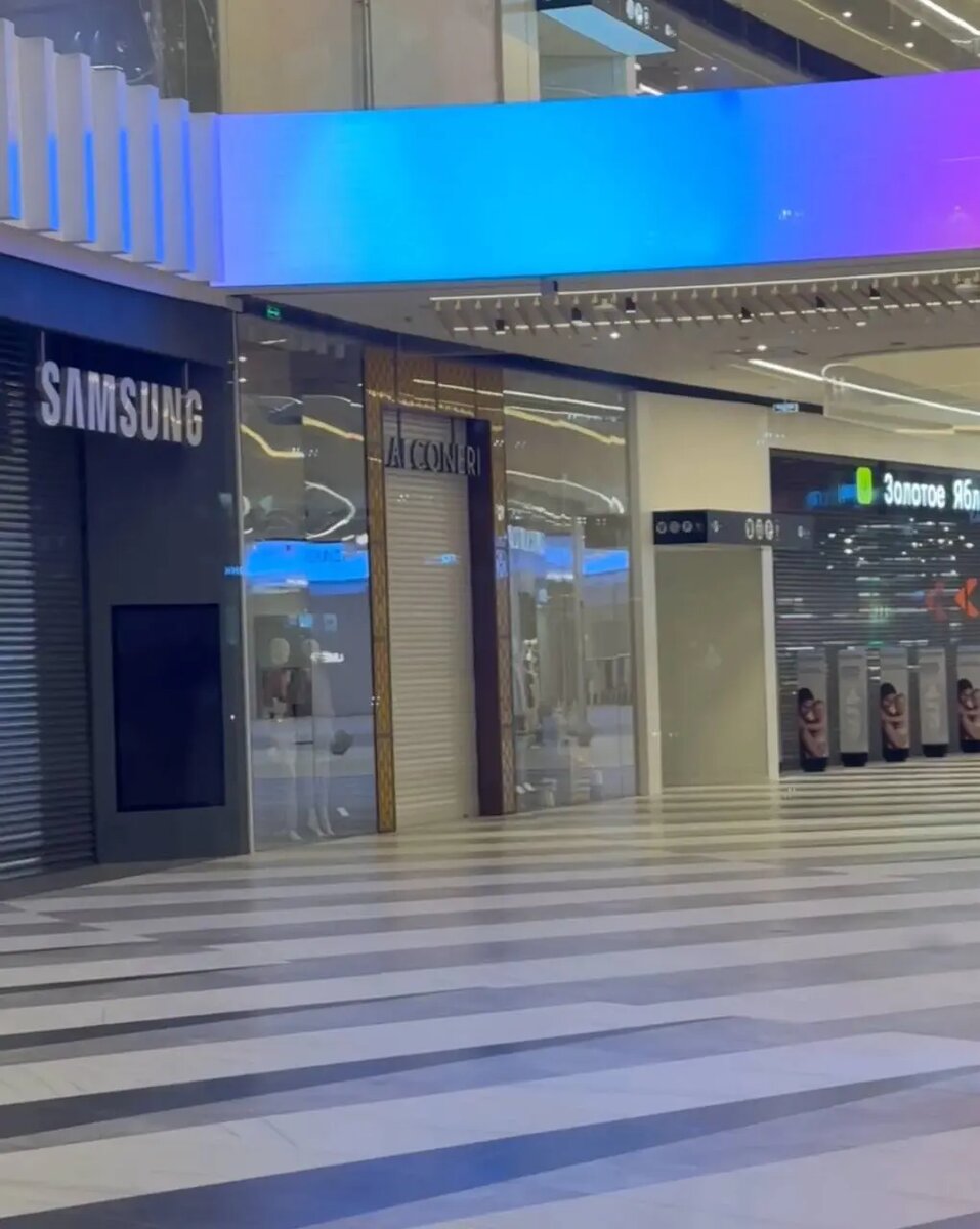    Фото: скриншот видео телеграм-канала ТРК Голливуд