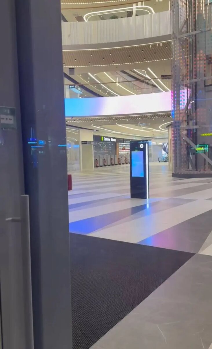    Фото: скриншот видео телеграм-канала ТРК Голливуд