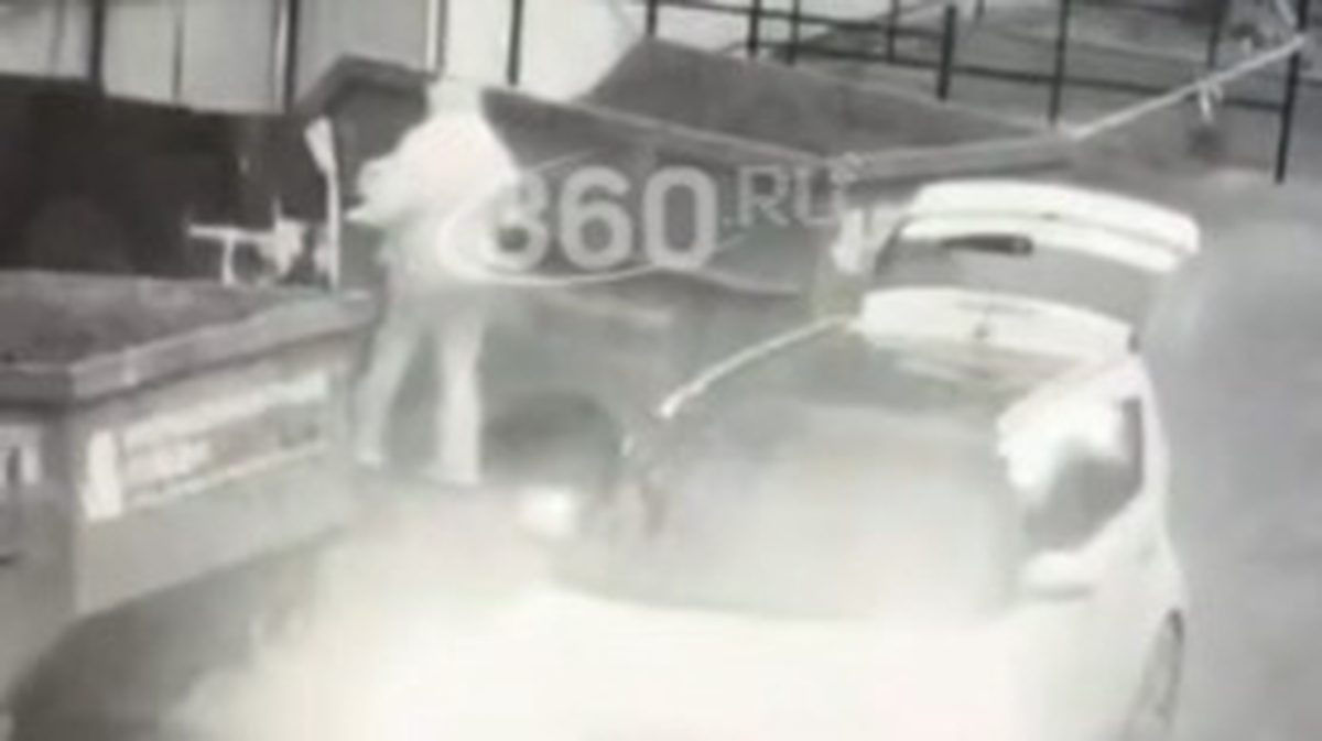    Фото: скриншот / 360.ru / Telegram