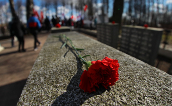    © Анастасия Илюшина / ЛенТВ24. Архивное фото