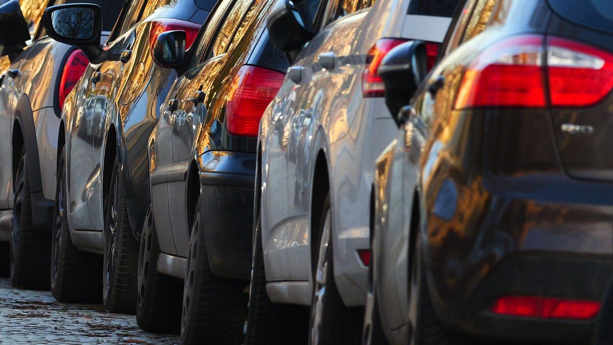    Фото: Wolfram Steinberg/globallookpress.com