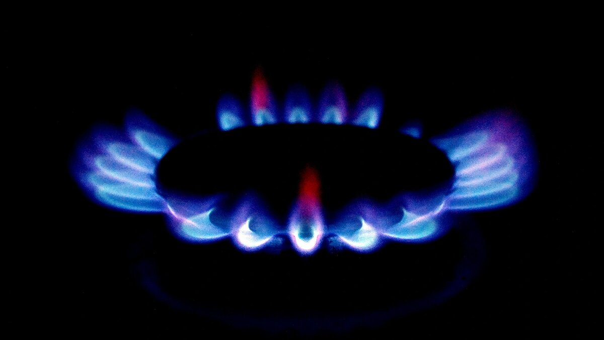    Фото: Сергей Егоров