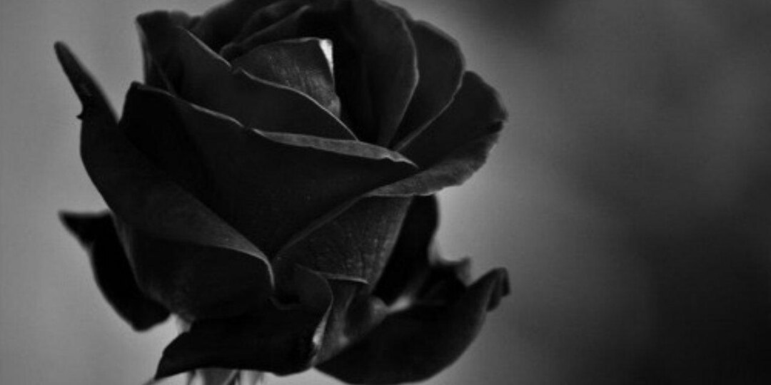 СТРЕЛА АМУРА(мистика)