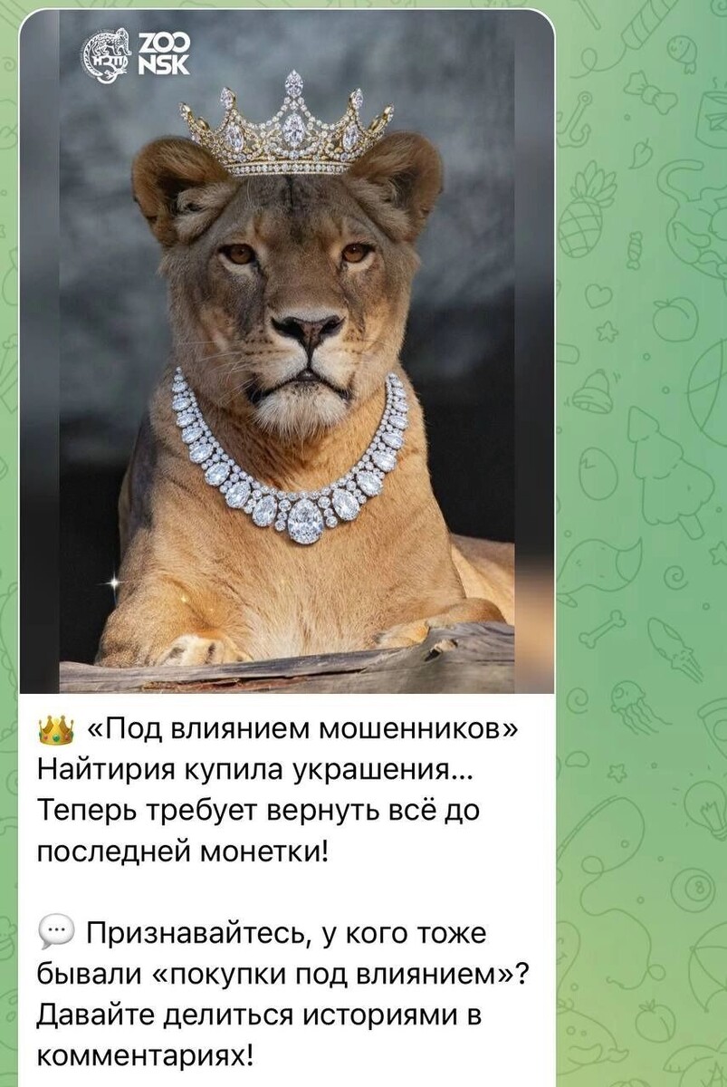     Источник: Скриншот телеграм-канала Новосибирского зоопарка