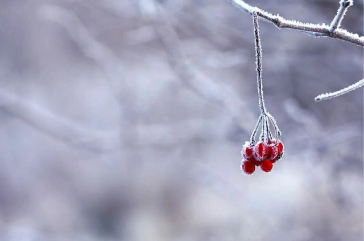    Температура в Якутии местами опустится до −52 градусов 2, 3, и 4 декабря