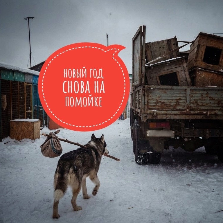 500 инвалидам попросту не куда пойти!