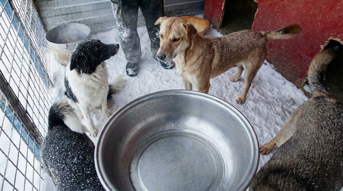 Стоимость месяца  АРЕНДЫ 85 000 рублей. Сюда входит электричество, вода, сама АРЕНДА