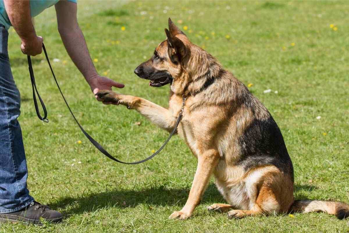 Фотография из интернета