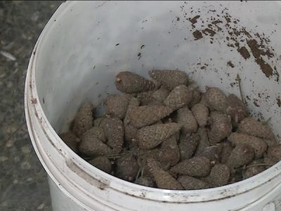    Фото: ГТРК Карелия