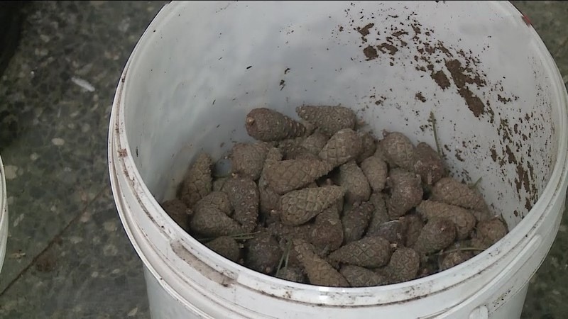    Фото: ГТРК Карелия