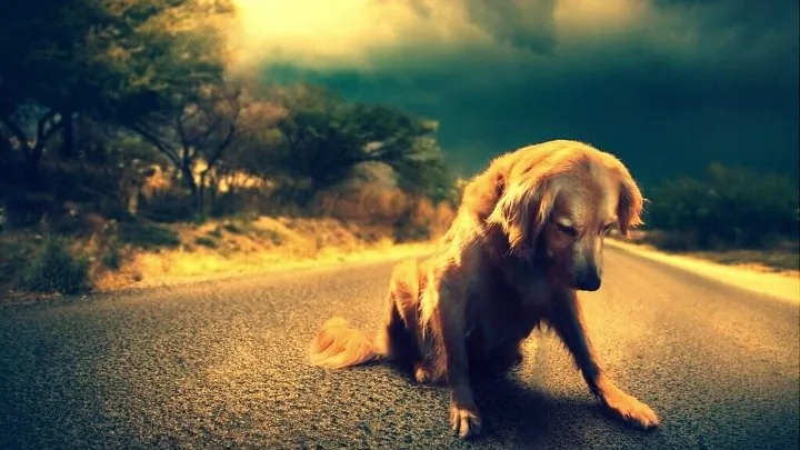 Фото с ok.ru для примера