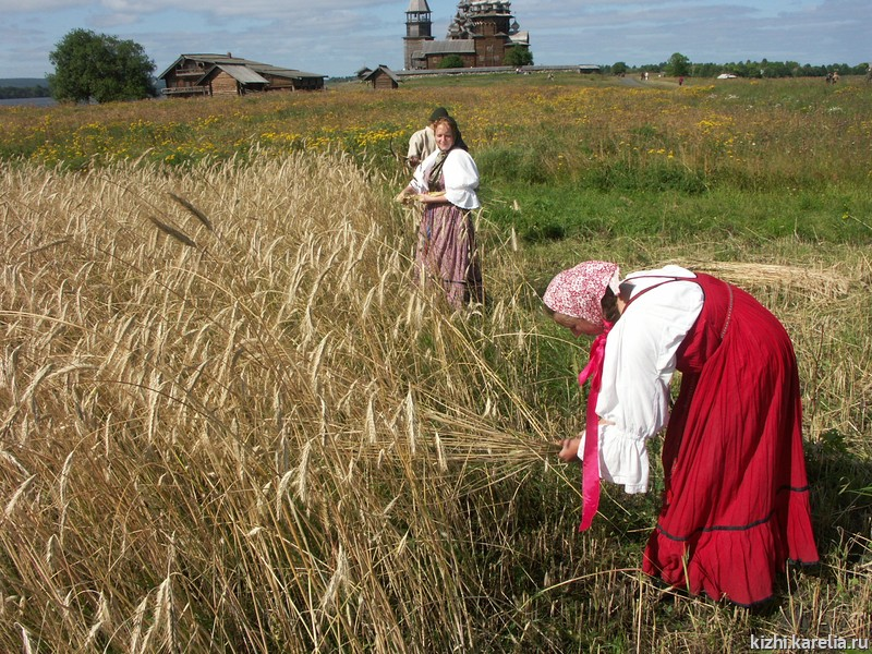 https://site.kizhi.karelia.ru/
