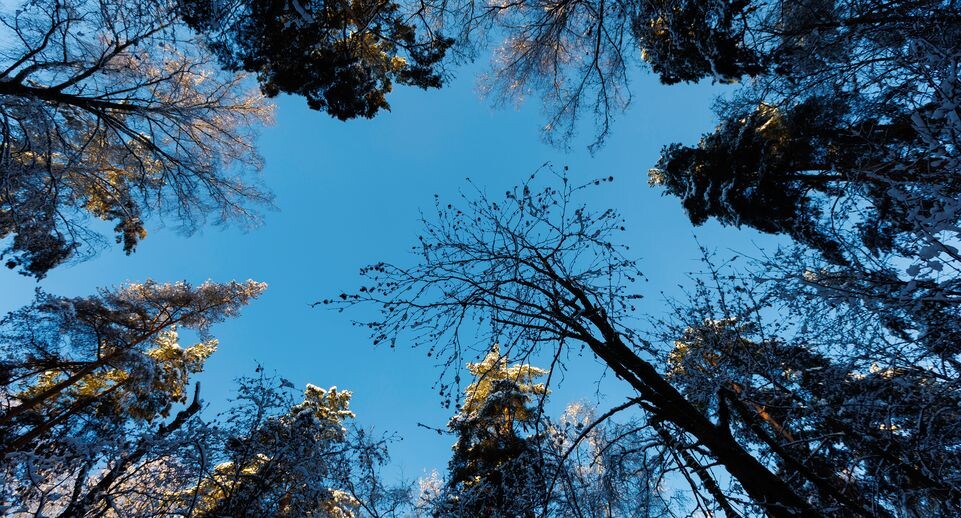    Зима наступила в Подмосковье / Медиасток.рф