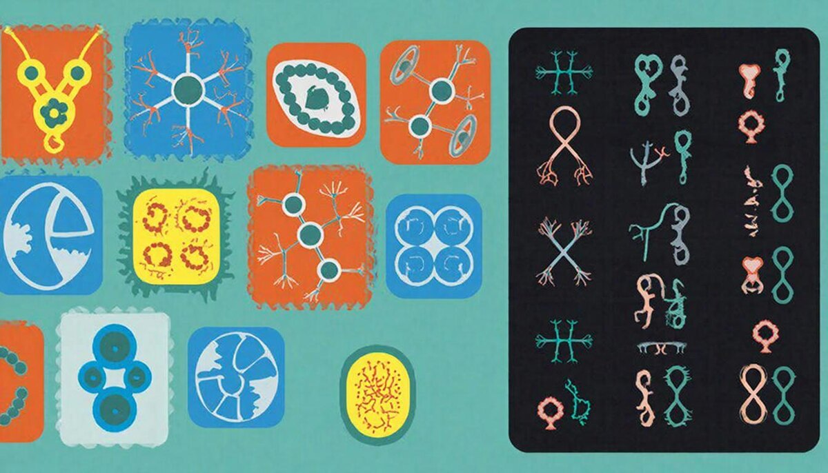 Доминирование и Рецессивность Генов